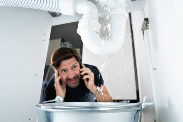 Best Plumbing Inspection Services  in Endwell, NY