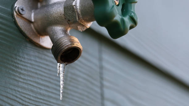Best Best Plumbers Near Me  in Endwell, NY